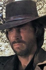 Lincoln Tate