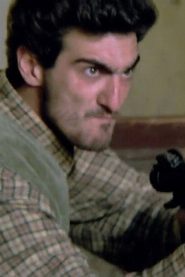 David Ambrosi biography, age and filmography