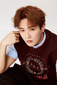 Li Wenhan biography, age and filmography