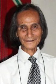 Palito