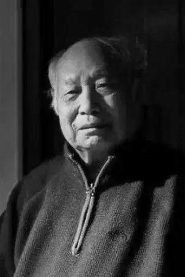 Yang Zhanjia biography, age and filmography