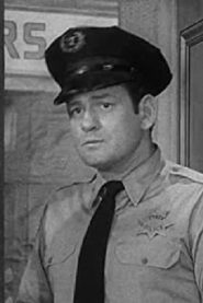 Mike Steen biography, age and filmography