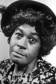 LaWanda Page biography, age and filmography