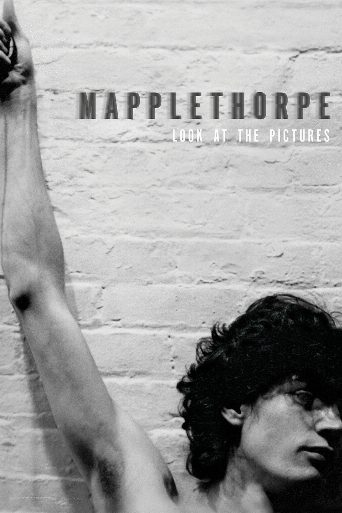 Mapplethorpe: Look at the Pictures poster