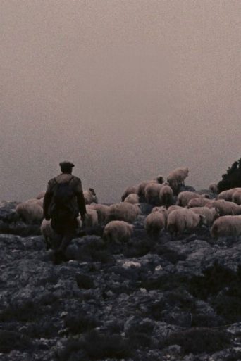Orgosolo’s Shepherds poster