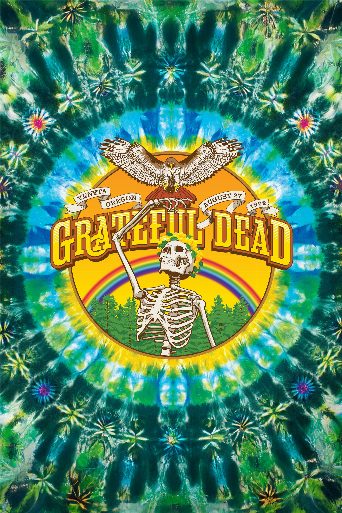 Grateful Dead: Sunshine Daydream poster