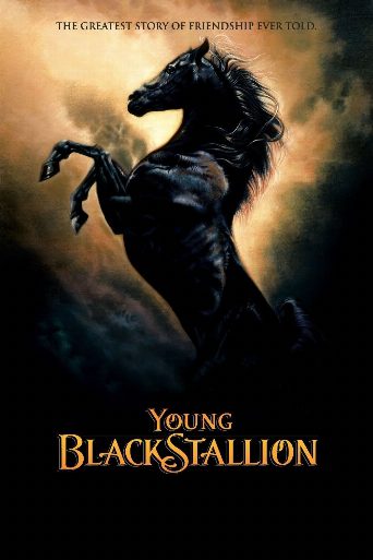 Young Black Stallion poster