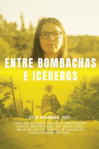 Between Icebergs and Gaucho Pants poster