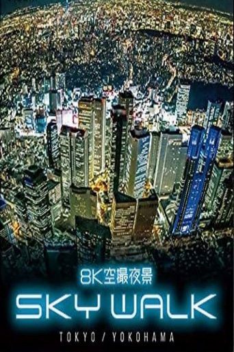 8K Aerial Night View:Sky Walk Tokyo and Yokohama poster