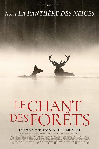 Whispers in the Woods poster