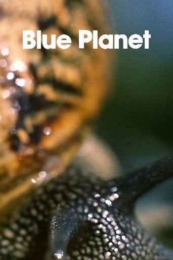 The Blue Planet poster