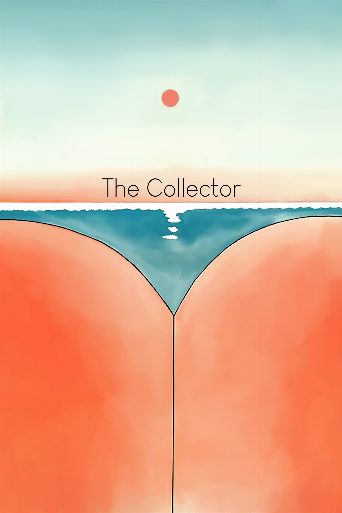 La Collectionneuse poster