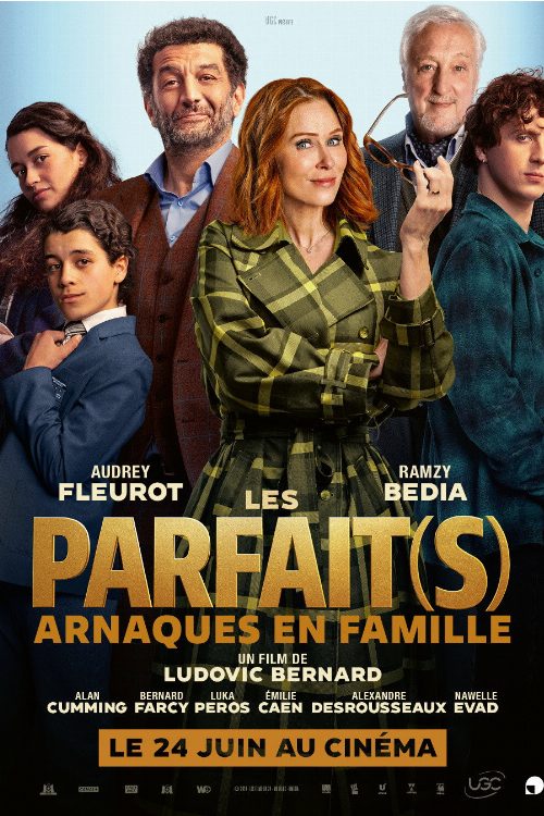 Les Parfait(s) : Arnaques en Famille poster