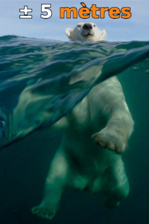 ± 5 Meters From the Surface of the Oceans poster