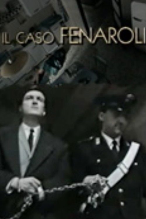 Il caso Fenaroli poster